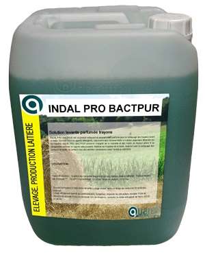 Image de QUARON INDAL PRO BACT PUR BIDON DE 20L