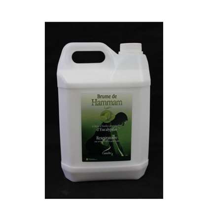 Image de SPAMMAR EUCALYPTUS BIDON 5L